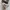 Onitsuka Tiger Casual Casual shoe Pria white photo 3