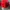 Sportswear Hat Pria multicolor photo 3