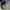 Y2K Casual Hat Pria multicolor green photo 3