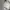 Polo Ralph Lauren Casual Casual shirt Pria white photo 4