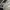 New Era Streetwear Casual Hat Wanita multicolor photo 4