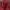 Lacoste Gorpcore Windbreaker Pria red photo 5
