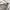 Champion Streetwear Hoody Pria multicolor photo 2