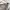 Champion Streetwear Hoody Pria Multicolor