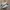 Adidas Indie Casual Sneakers Pria multicolor white photo 1