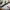 Adidas Indie Casual Sneakers Pria multicolor white photo 2