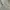 ZARA Streetwear Grunge Jeans Pria white blue photo 6