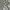 ZARA Streetwear Grunge Jeans Pria white blue photo 5