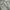 ZARA Streetwear Grunge Jeans Pria white blue photo 8