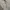 ZARA Streetwear Grunge Jeans Pria white blue photo 7