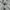 Biker Casual Track jacket Pria white photo 4