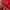 Adidas Coquette Casual Sweatshirt Pria red photo 2