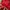 Adidas Coquette Casual Sweatshirt Pria Red