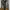 Levi's Casual Casual pants Pria gray photo 1