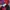 Feltics Indie Pea coat Pria red blue photo 3
