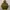 thisisneverthat Streetwear Casual Hoody Pria khaki photo 3