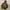 thisisneverthat Streetwear Casual Hoody Pria khaki photo 1