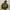 Thisisneverthat Streetwear Casual Hoody Pria Khaki