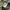 Japanese brand Vintage Avant Garde Parka Pria green photo 5