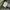 Japanese brand Vintage Avant Garde Parka Pria green photo 6