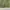 Japanese brand Vintage Avant Garde Parka Pria green photo 3