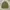 Japanese brand Vintage Avant Garde Parka Pria green photo 1