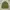 Japanese Brand Vintage Avant Garde Parka Pria Green