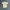 Stussy Vintage T-shirt Pria yellow photo 1
