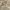 Casual Casual dress Wanita gold khaki photo 1