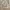 Casual Casual dress Wanita gold khaki photo 5