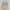 Vintage Y2K Cami top Wanita cream photo 8