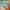 HUF Streetwear Skater T-shirt Pria multicolor photo 3