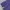 Crocodile Vintage Casual Windbreaker Pria purple photo 7