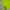 Sportswear Minimalist T-shirt Pria green yellow photo 3