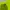 Sportswear Minimalist T-shirt Pria green yellow photo 2