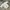 Casual Sweater Pria white photo 2