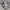 Casual Sweatshirt Pria white gray photo 1