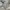 Casual Sweatshirt Pria white gray photo 4