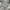Casual Sweatshirt Pria white gray photo 2
