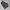 Casual Short Pria gray photo 3