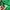Casual Sweater Pria green photo 5