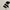 Adidas Vintage Streetwear T-shirt Pria white black photo 1