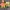 Uniqlo Streetwear Toy Kids multicolor photo 1