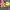 Uniqlo Streetwear Toy Kids multicolor photo 2