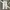 Uniqlo Streetwear Skater Jeans Pria gray photo 3