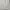 Dickies Gorpcore Puffer jacket Pria white photo 1