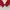Sportswear Windbreaker Pria white red photo 7