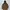 NEPA Gorpcore Puffer Jacket Pria Brown Black