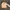 Betty Boop Y2K Trench coat Wanita cream photo 1