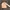 Betty Boop Y2K Trench Coat Wanita Cream